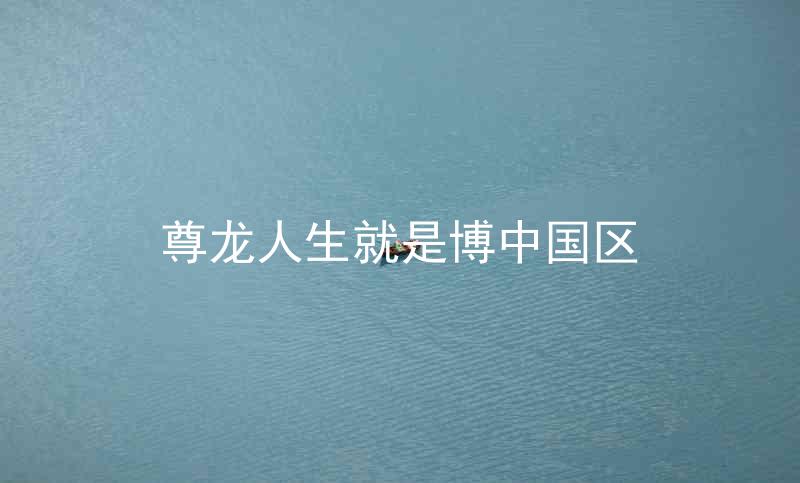 尊龙人生就是博中国区